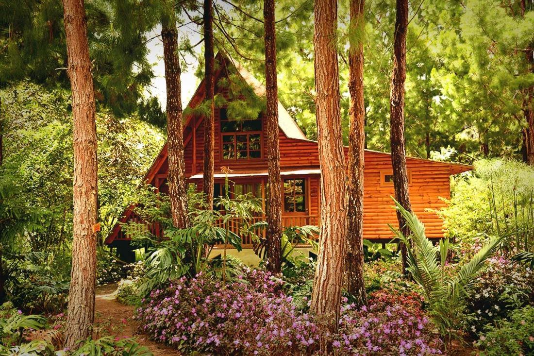 Altares De Lodge