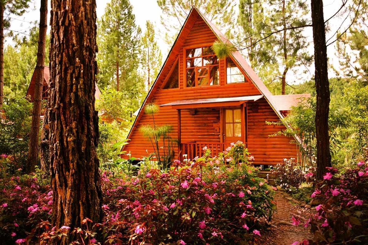 Lodge Altares De *