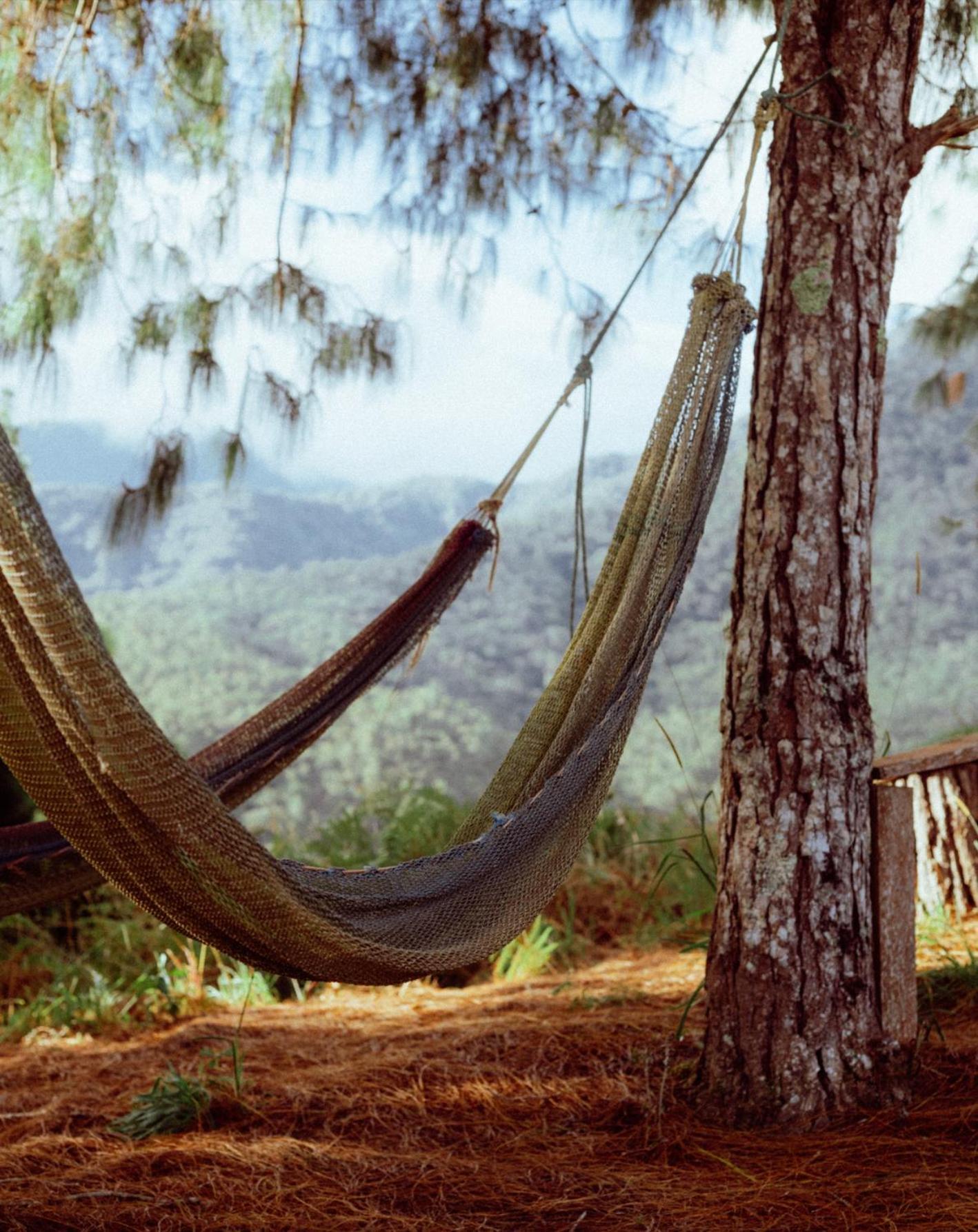Altares De Lodge *
