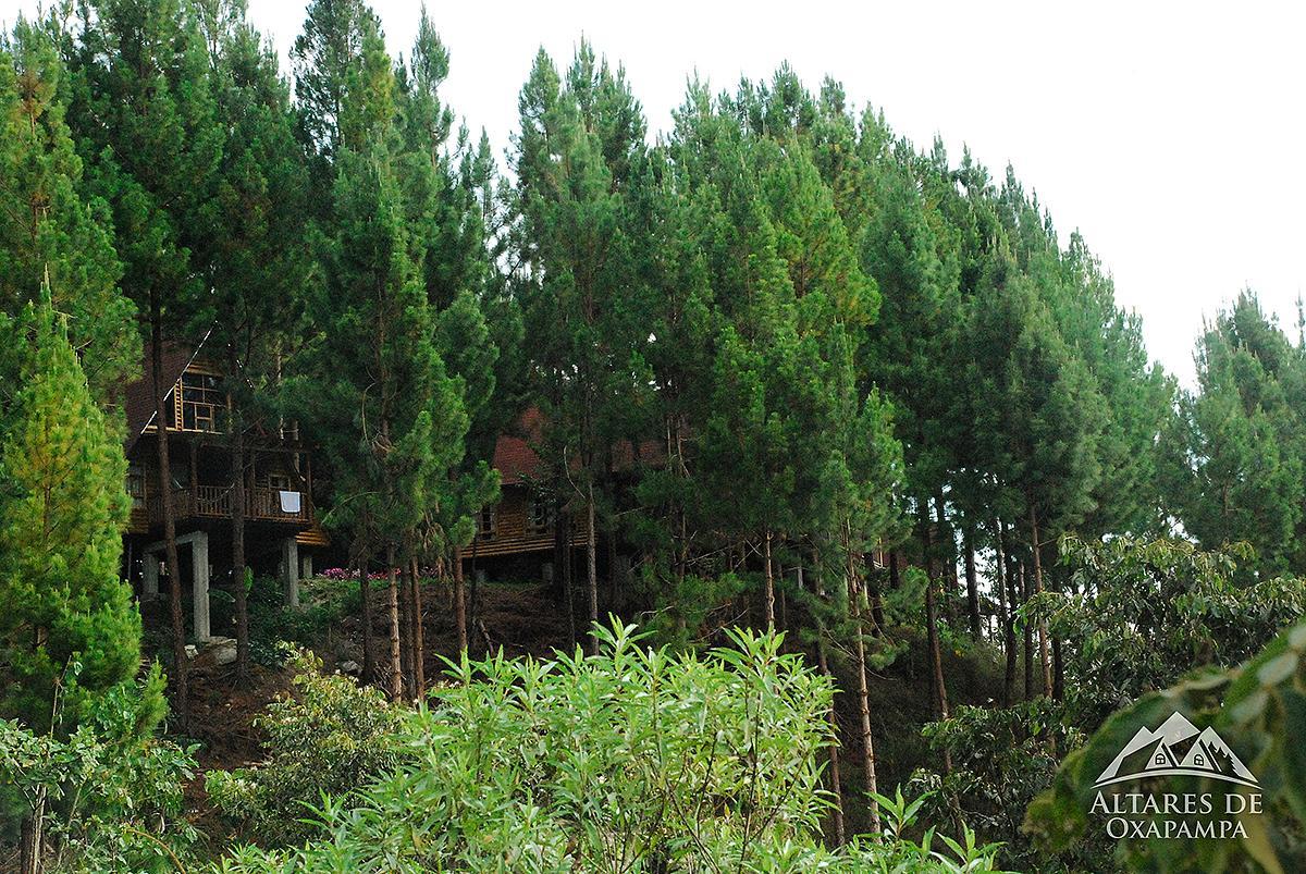 Altares De Lodge *