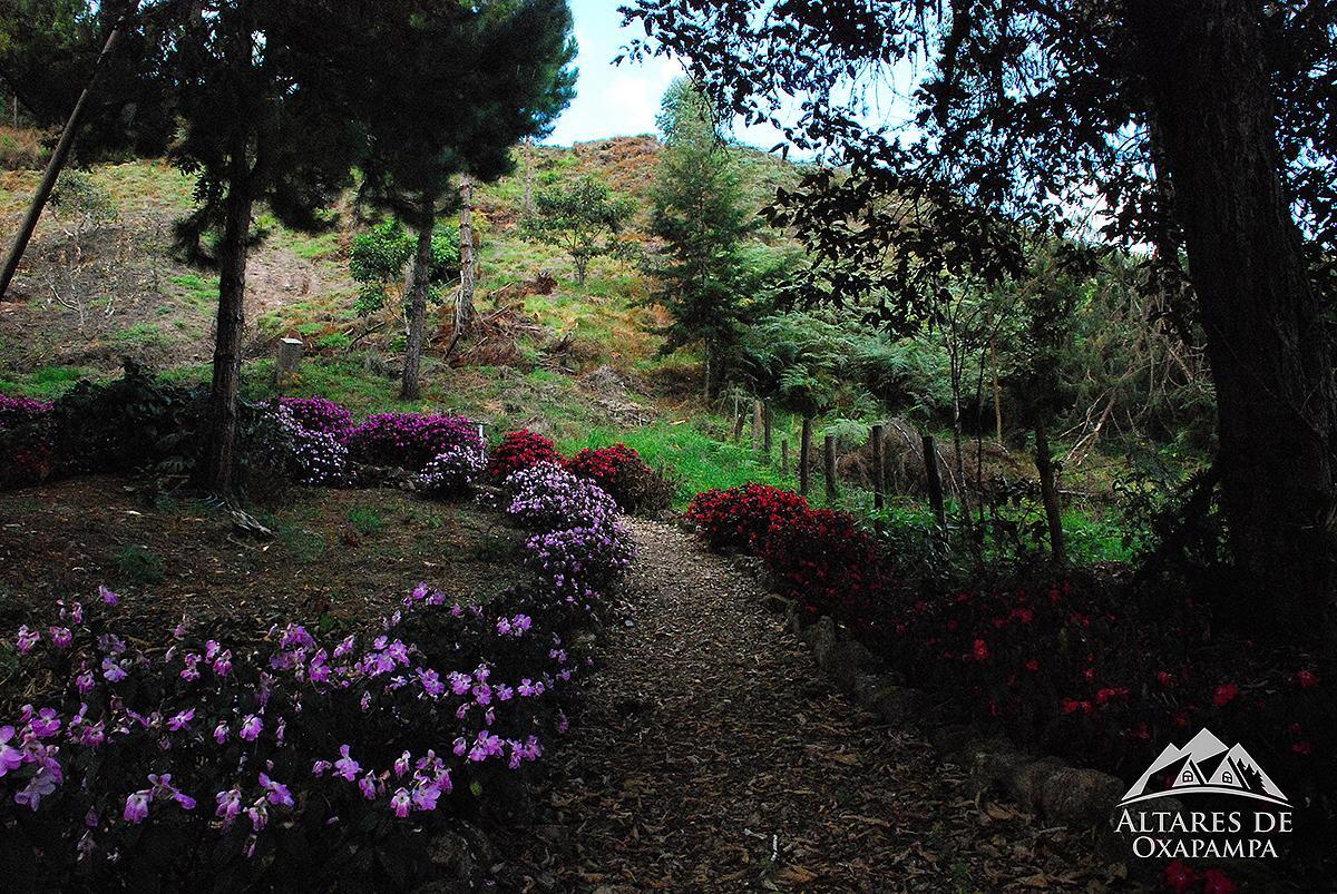 Altares De Oxapampa
