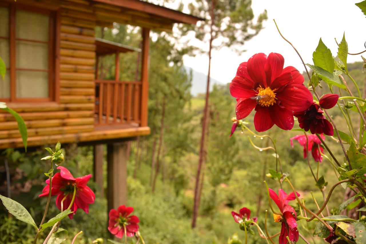 Lodge Altares De